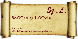 Székely Lívia névjegykártya